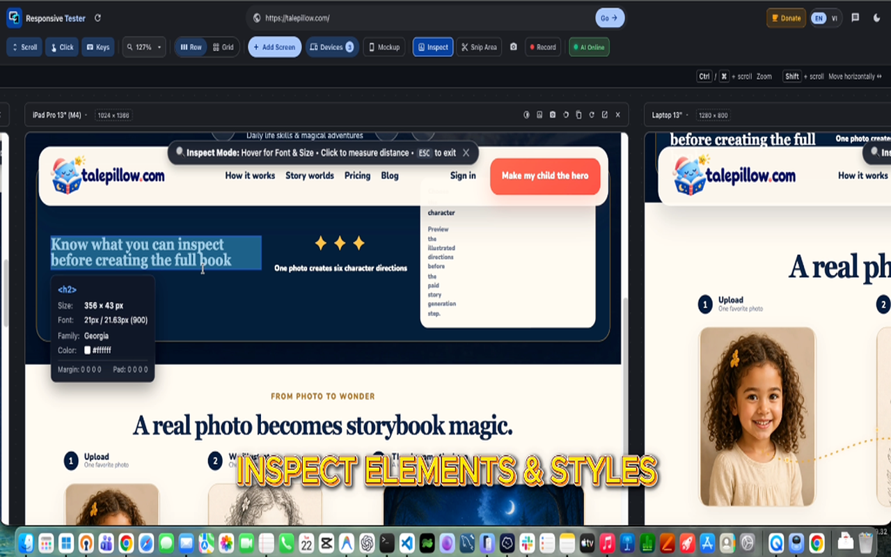 Inspect Elements and Styles